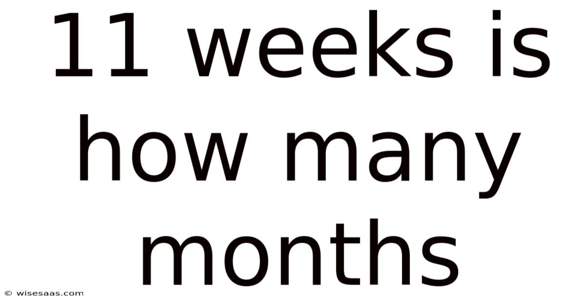 11 Weeks Is How Many Months