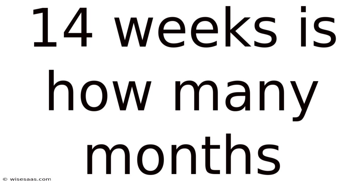 14 Weeks Is How Many Months