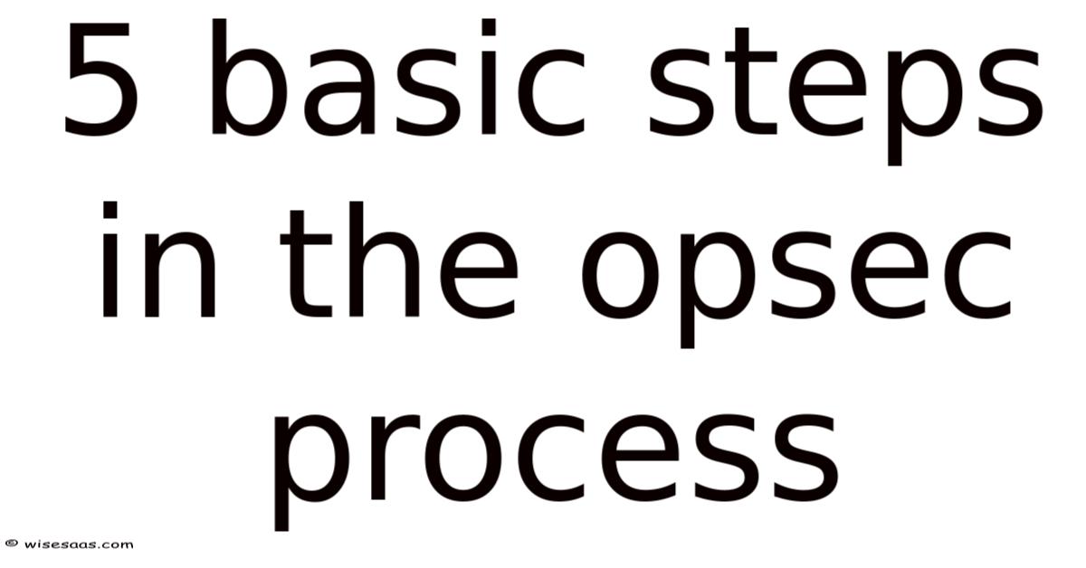 5 Basic Steps In The Opsec Process