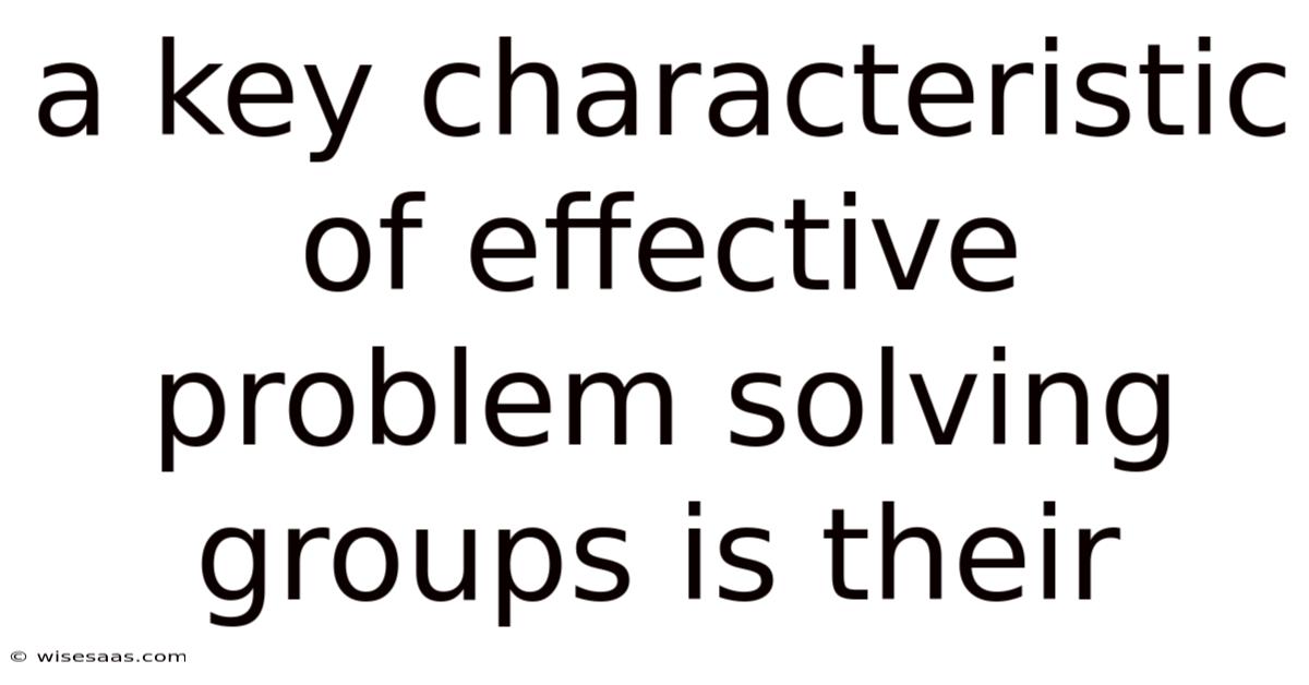 A Key Characteristic Of Effective Problem Solving Groups Is Their