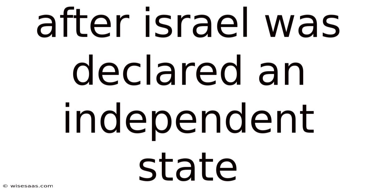 After Israel Was Declared An Independent State