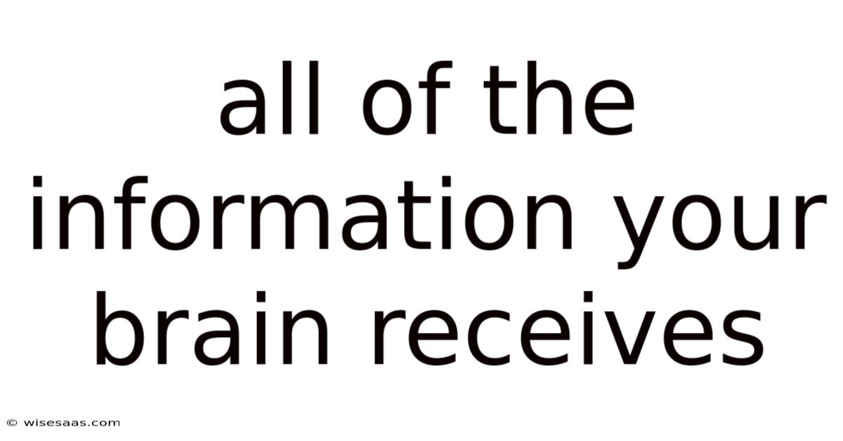 All Of The Information Your Brain Receives