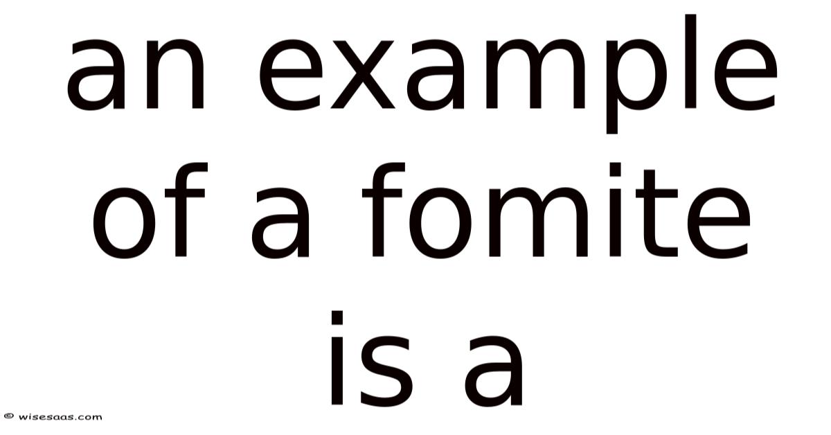 An Example Of A Fomite Is A