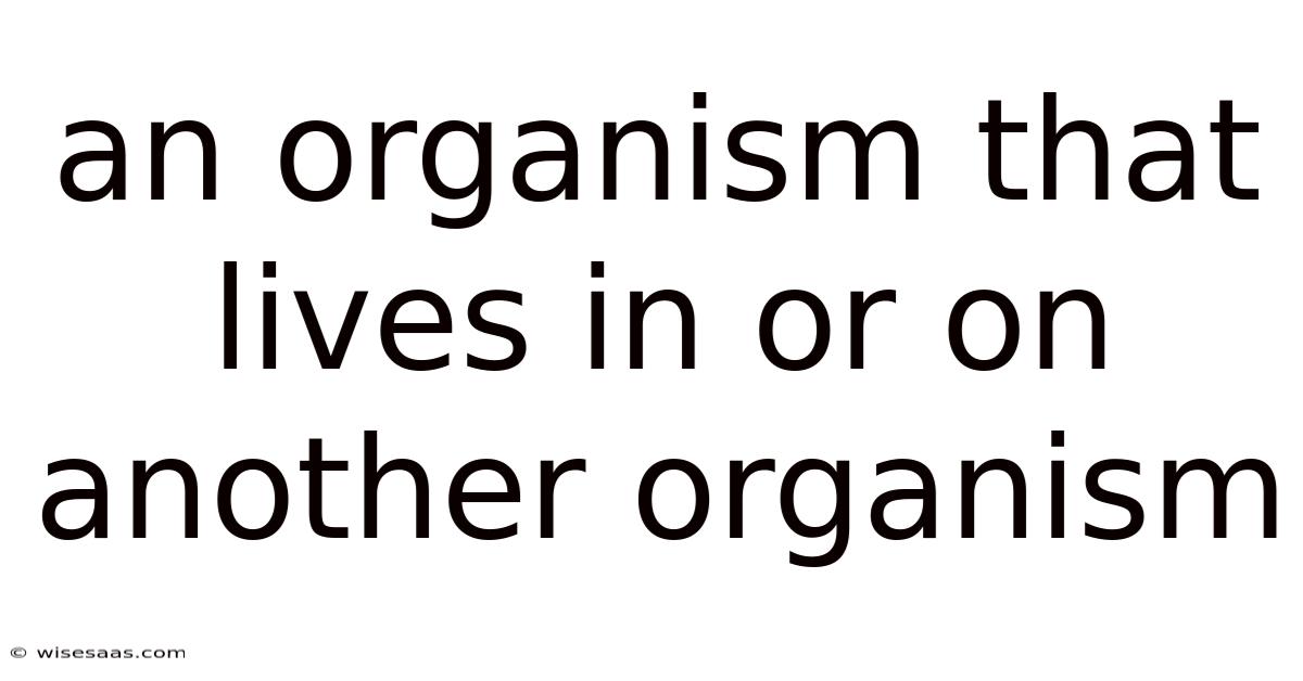 An Organism That Lives In Or On Another Organism
