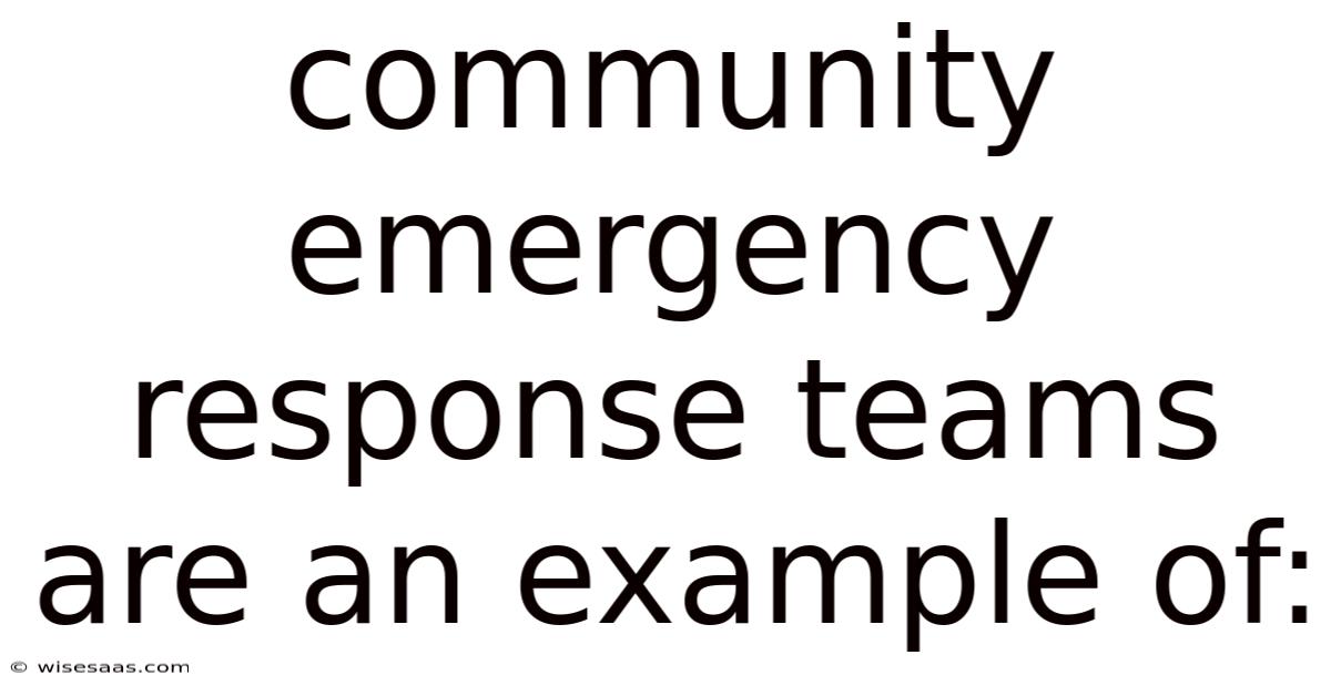 Community Emergency Response Teams Are An Example Of: