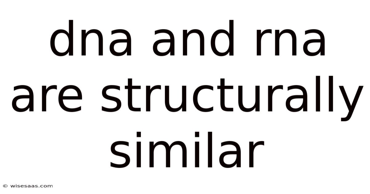 Dna And Rna Are Structurally Similar