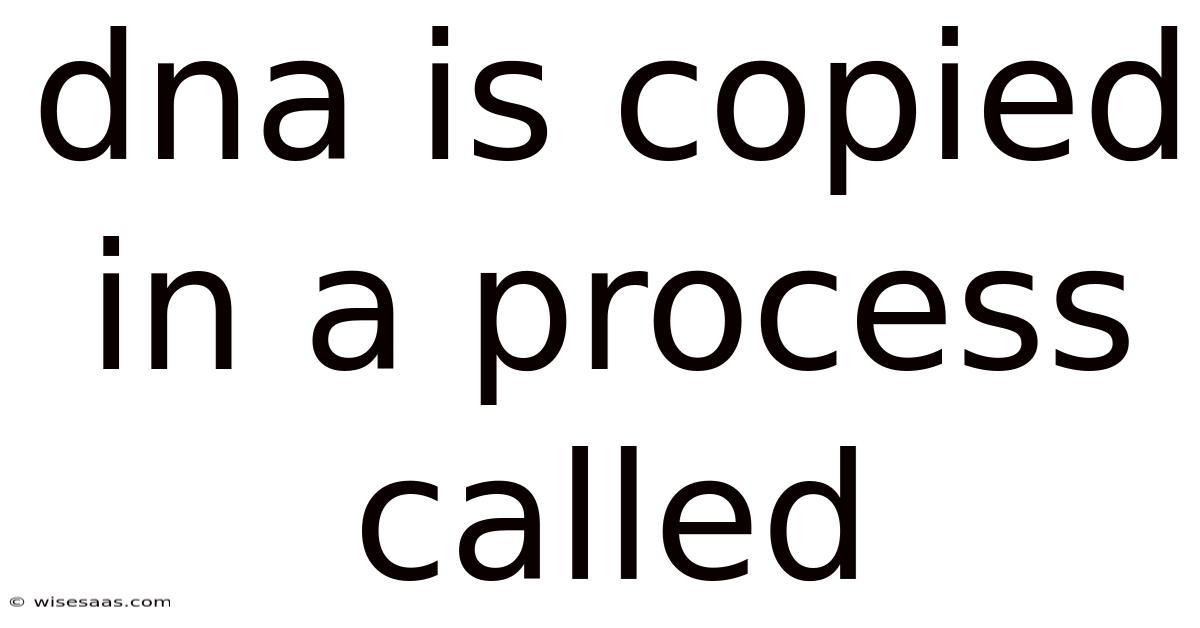 Dna Is Copied In A Process Called