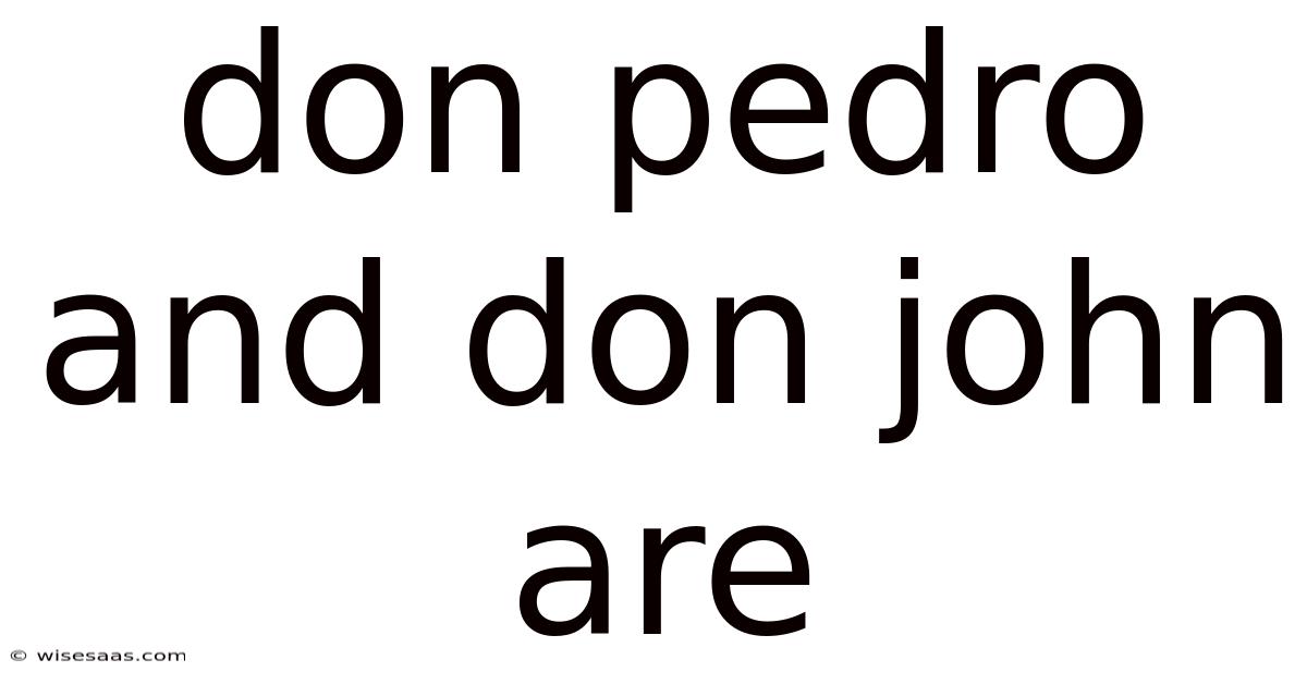 Don Pedro And Don John Are