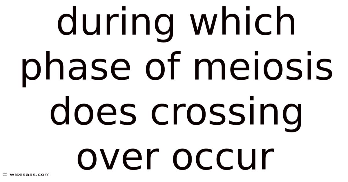 During Which Phase Of Meiosis Does Crossing Over Occur