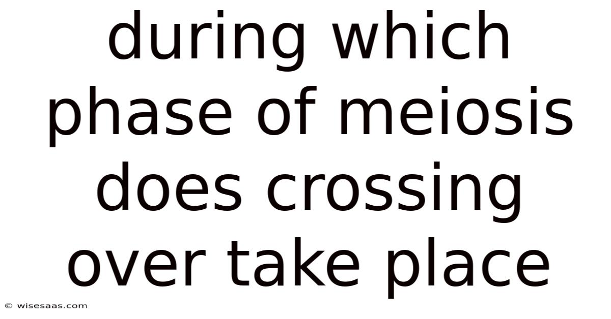 During Which Phase Of Meiosis Does Crossing Over Take Place