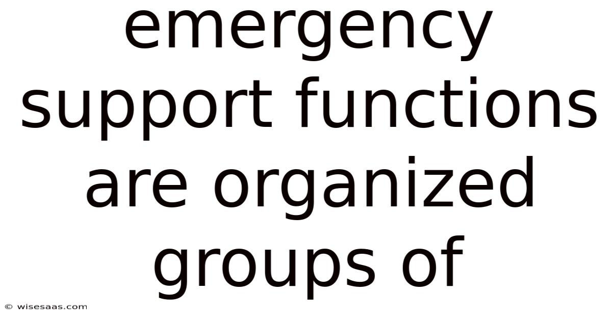 Emergency Support Functions Are Organized Groups Of