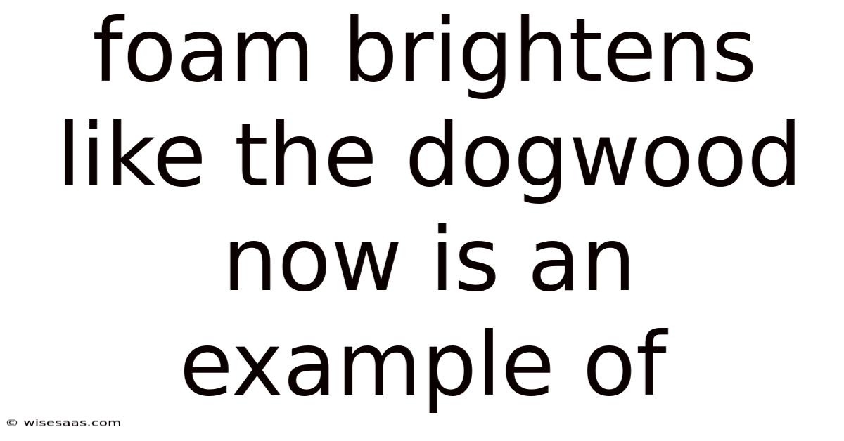 Foam Brightens Like The Dogwood Now Is An Example Of