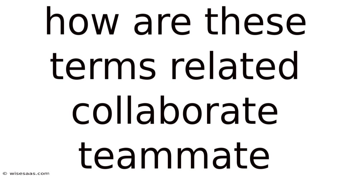 How Are These Terms Related Collaborate Teammate