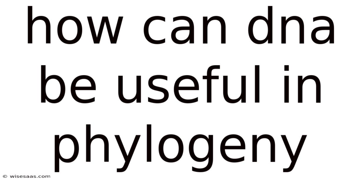 How Can Dna Be Useful In Phylogeny