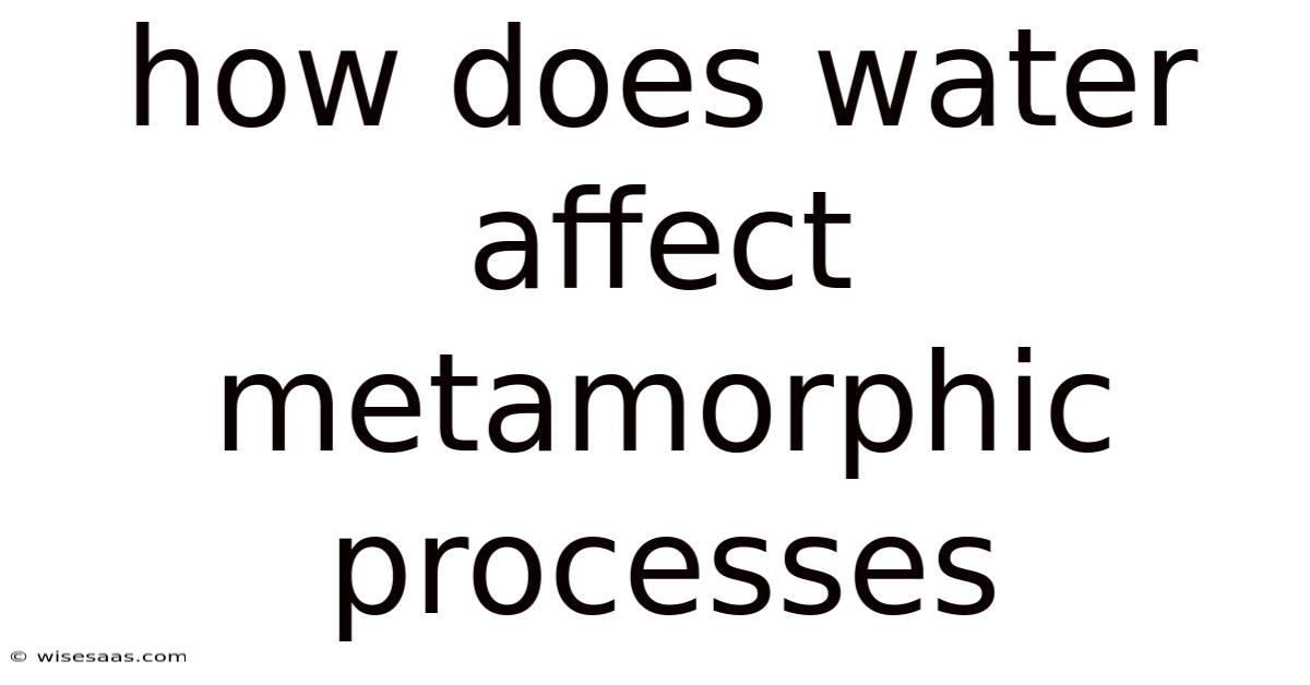 How Does Water Affect Metamorphic Processes