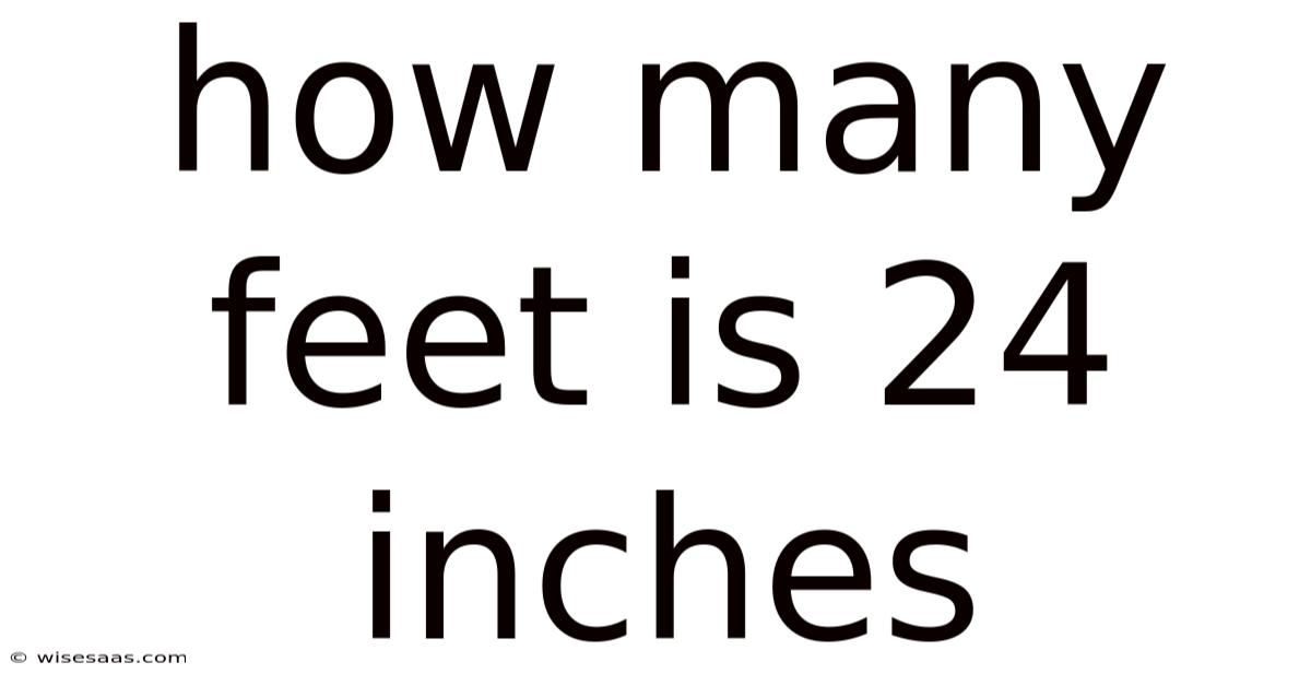 How Many Feet Is 24 Inches