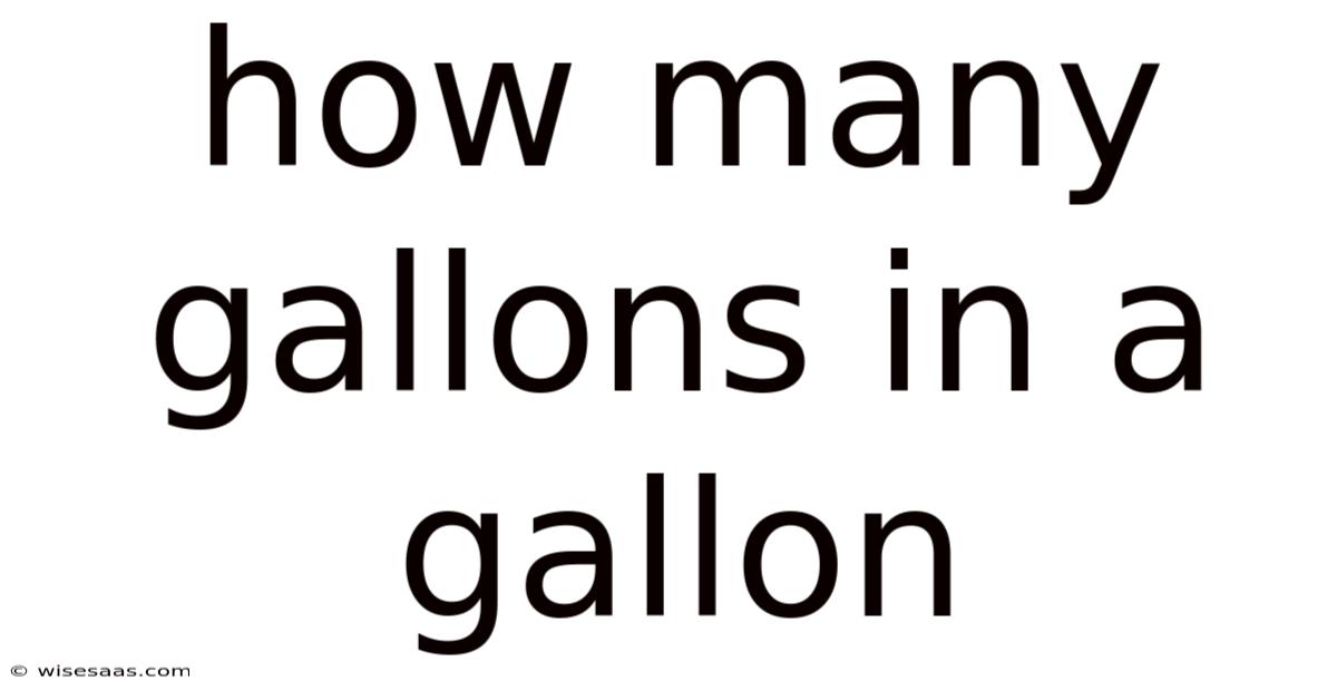 How Many Gallons In A Gallon