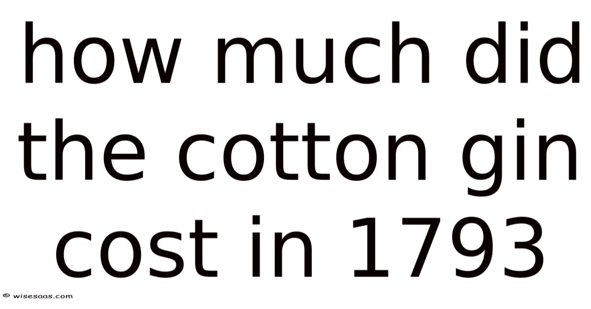 How Much Did The Cotton Gin Cost In 1793