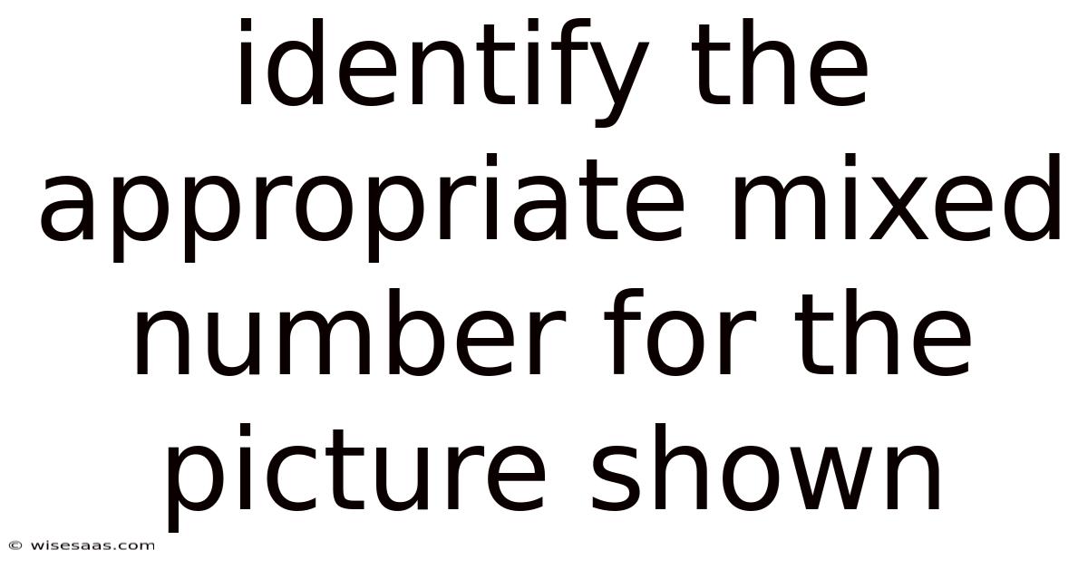 Identify The Appropriate Mixed Number For The Picture Shown