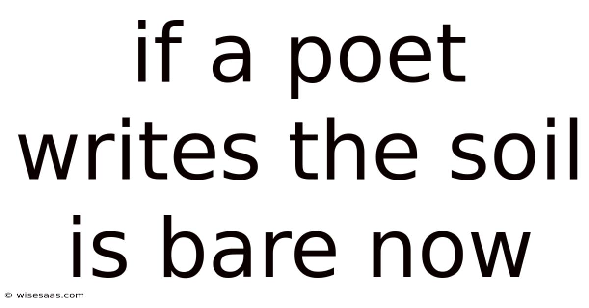 If A Poet Writes The Soil Is Bare Now