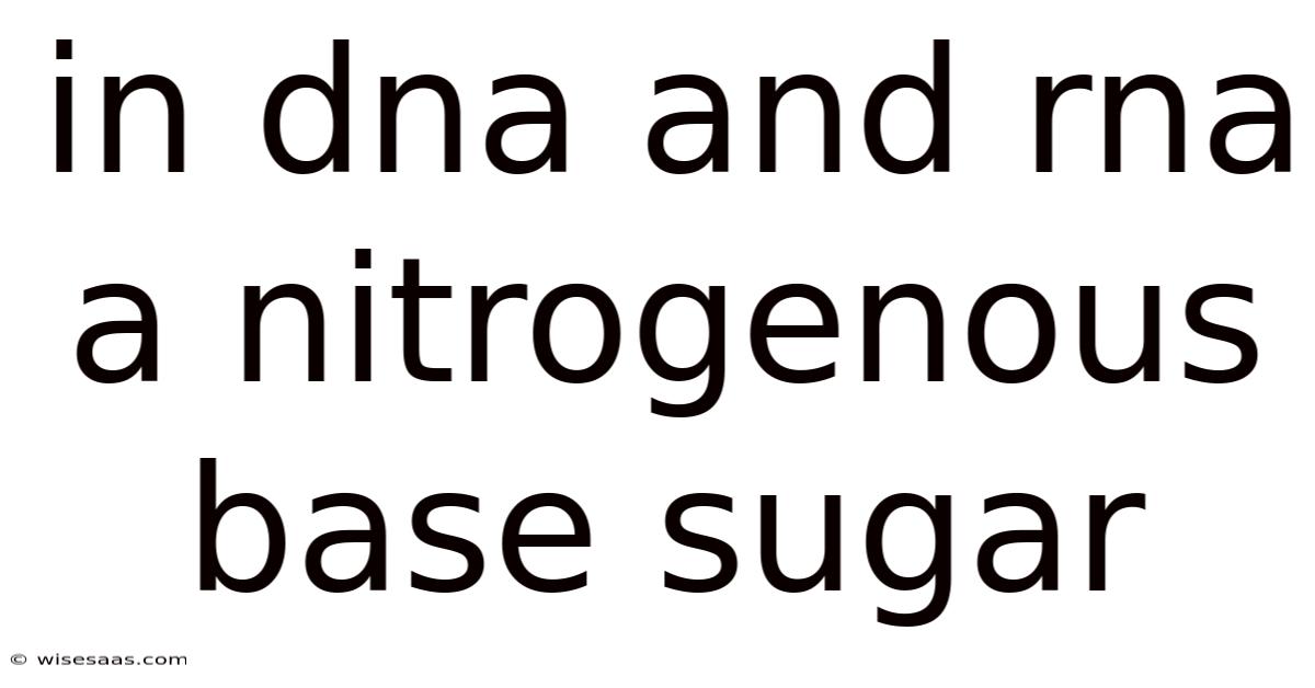 In Dna And Rna A Nitrogenous Base Sugar