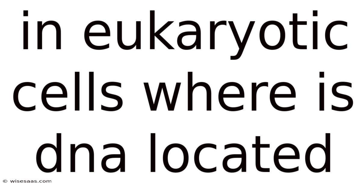 In Eukaryotic Cells Where Is Dna Located