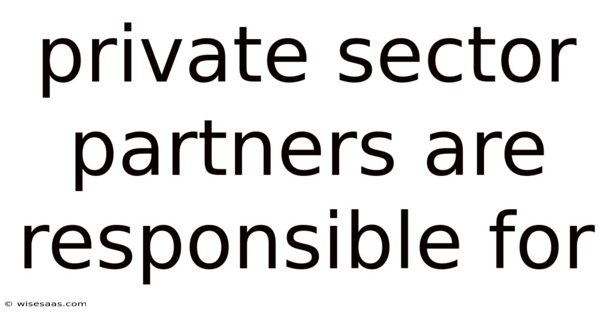Private Sector Partners Are Responsible For