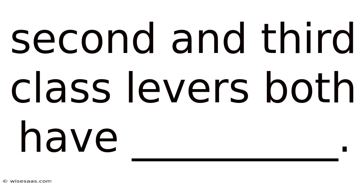 Second And Third Class Levers Both Have __________.