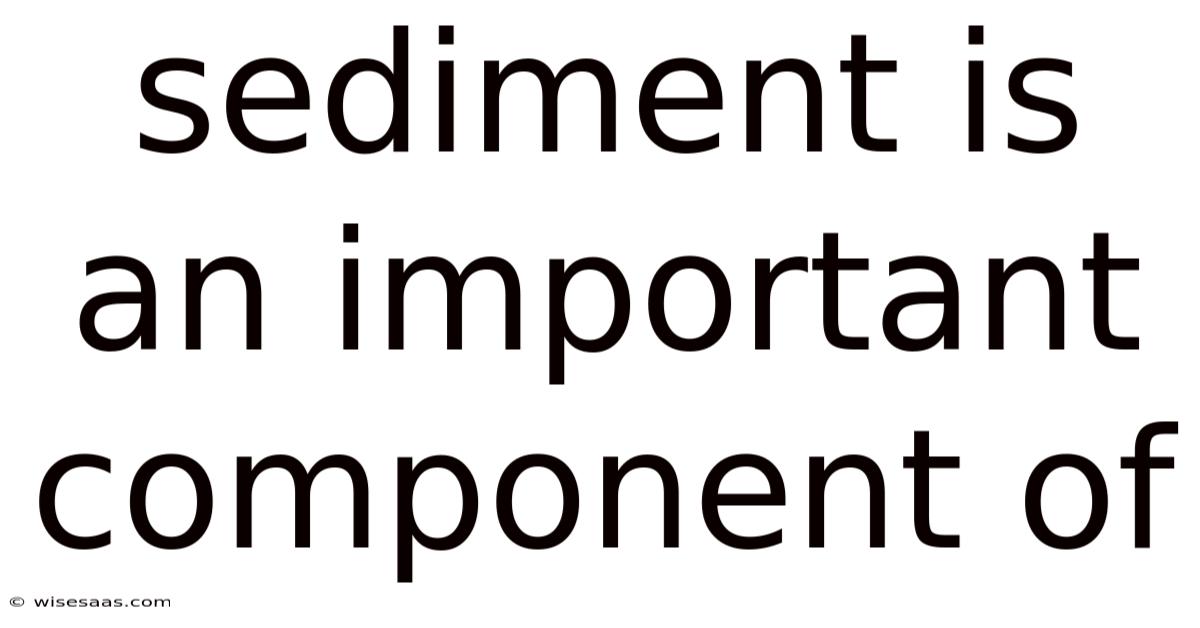Sediment Is An Important Component Of