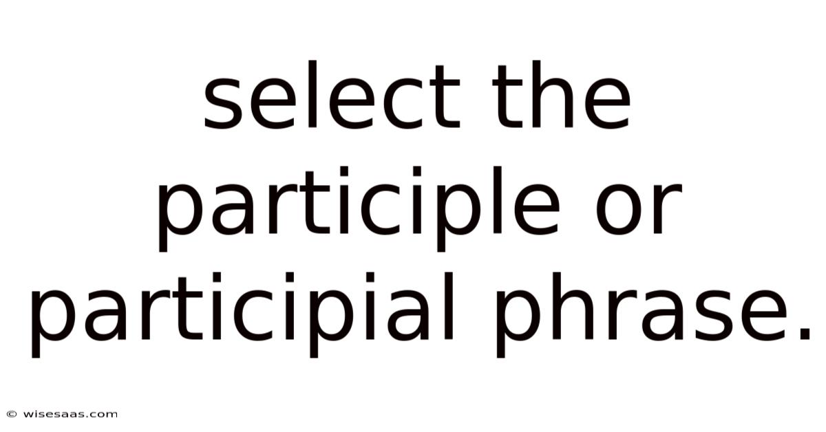 Select The Participle Or Participial Phrase.