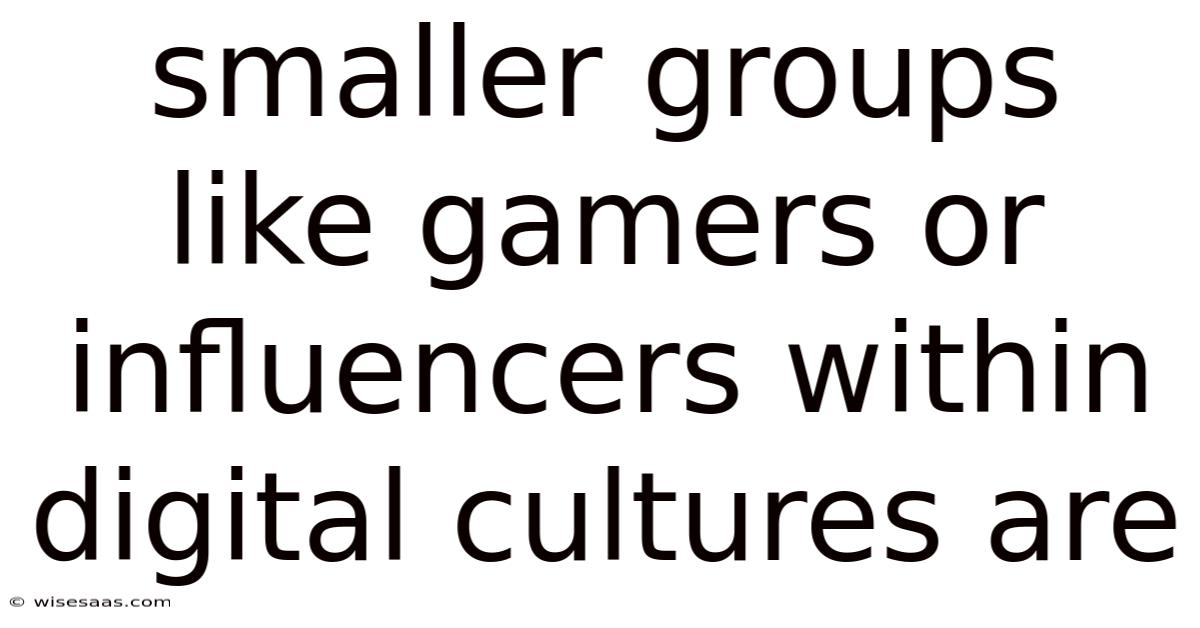 Smaller Groups Like Gamers Or Influencers Within Digital Cultures Are