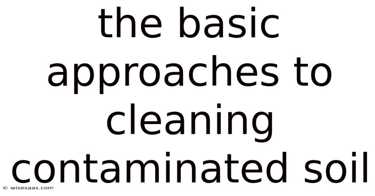 The Basic Approaches To Cleaning Contaminated Soil