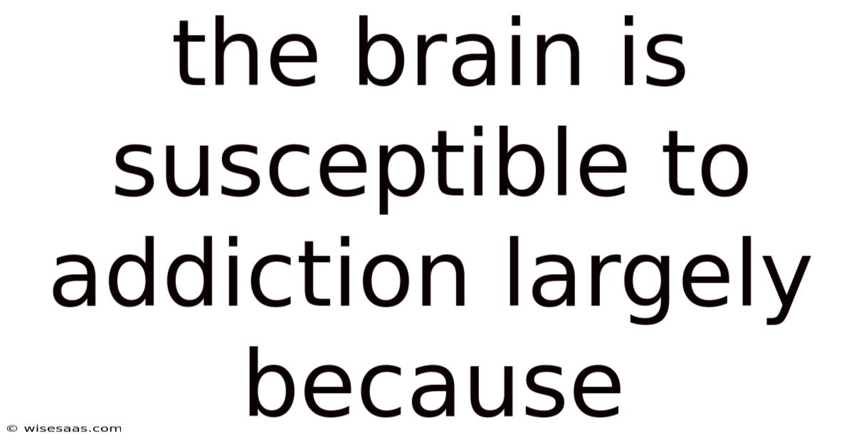 The Brain Is Susceptible To Addiction Largely Because