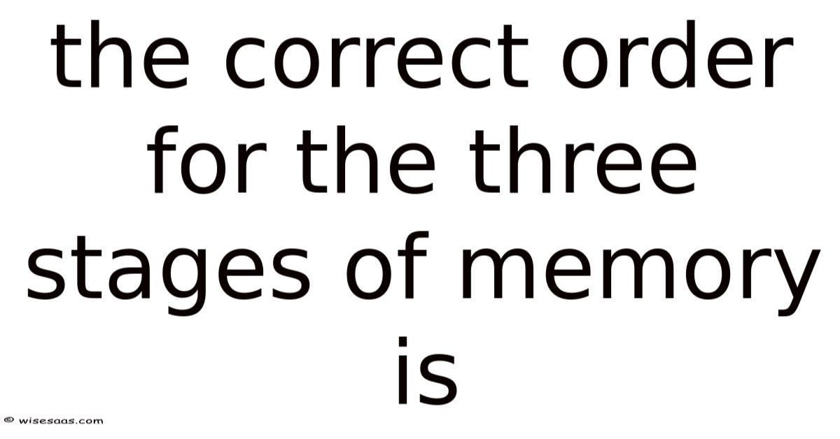 The Correct Order For The Three Stages Of Memory Is