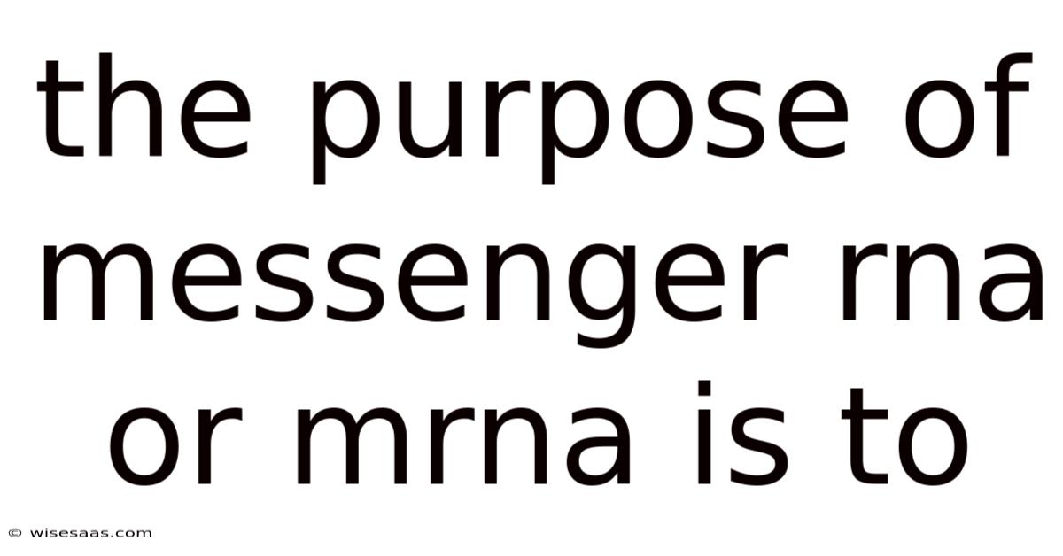 The Purpose Of Messenger Rna Or Mrna Is To