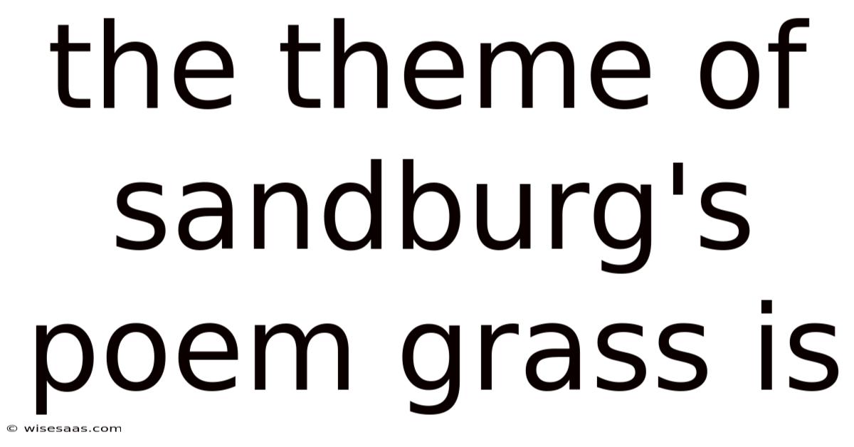 The Theme Of Sandburg's Poem Grass Is