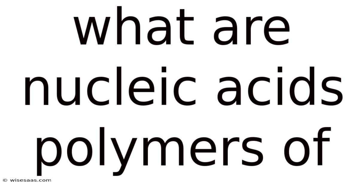 What Are Nucleic Acids Polymers Of
