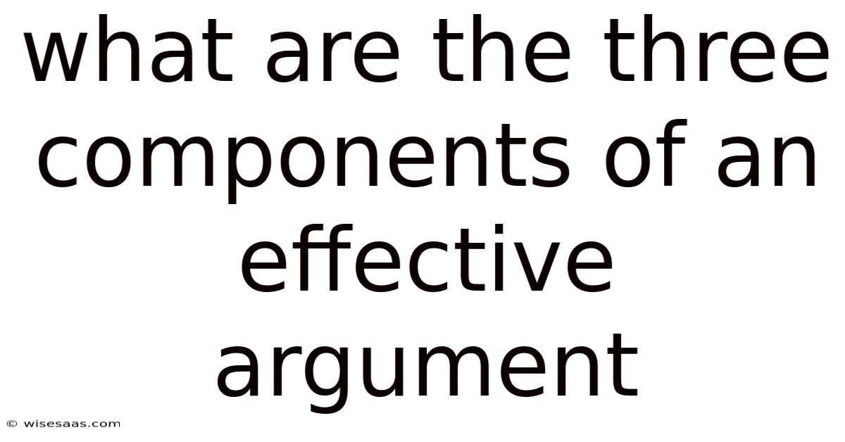 What Are The Three Components Of An Effective Argument