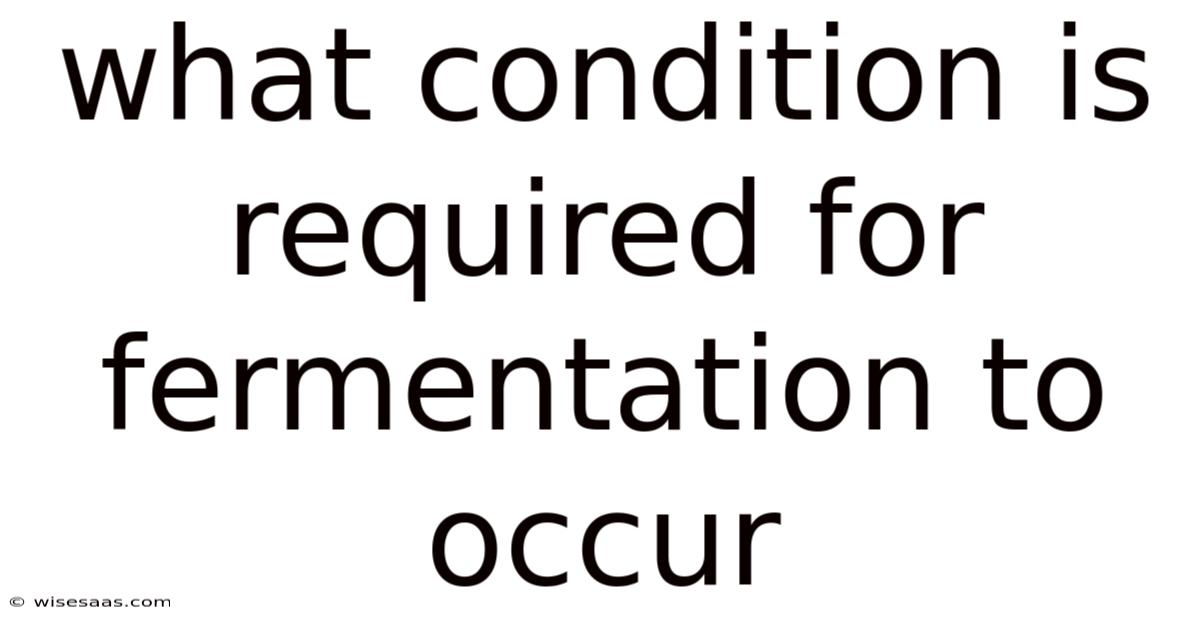 What Condition Is Required For Fermentation To Occur