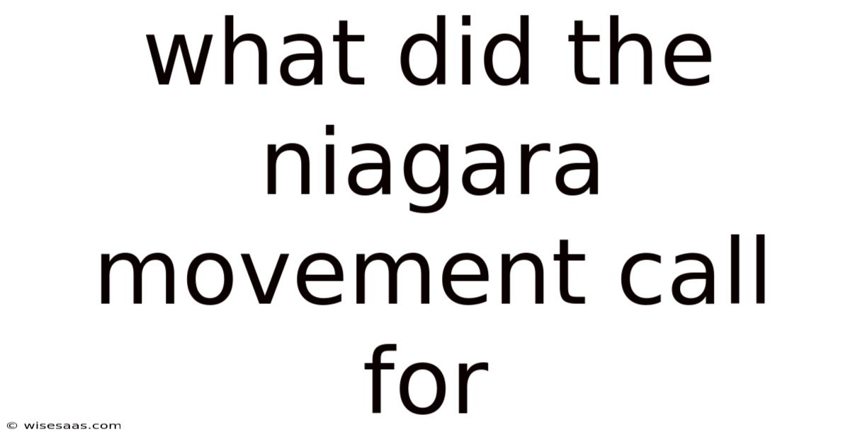 What Did The Niagara Movement Call For