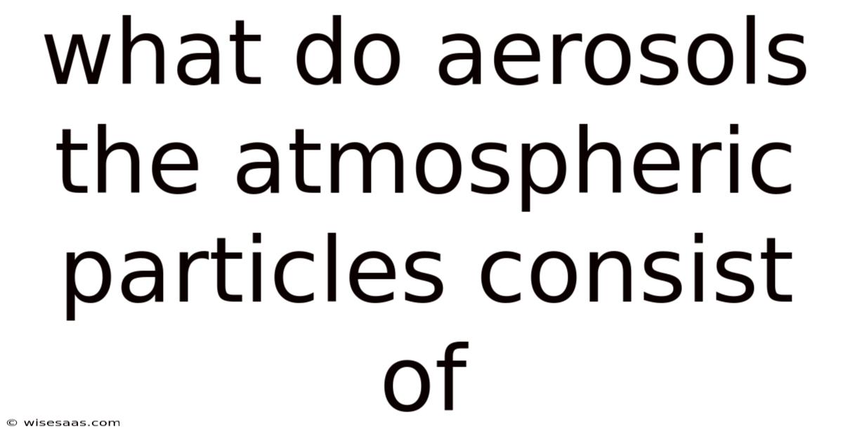 What Do Aerosols The Atmospheric Particles Consist Of