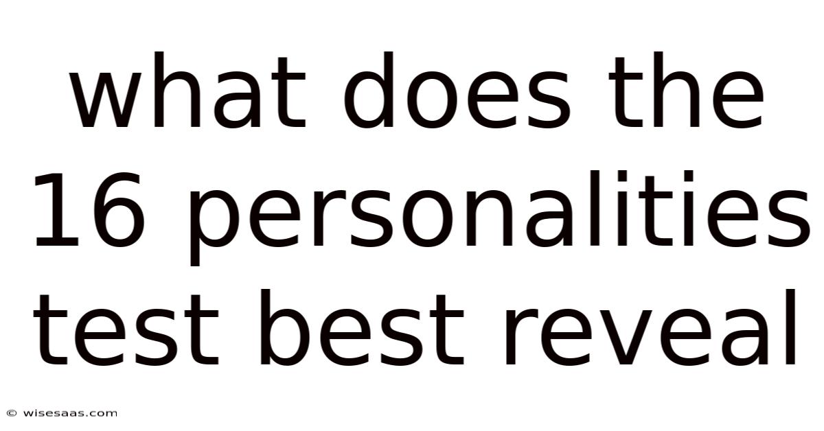 What Does The 16 Personalities Test Best Reveal