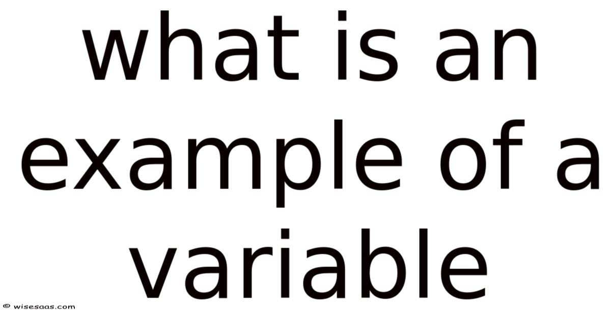 What Is An Example Of A Variable