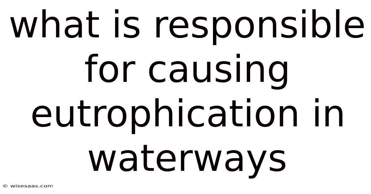 What Is Responsible For Causing Eutrophication In Waterways