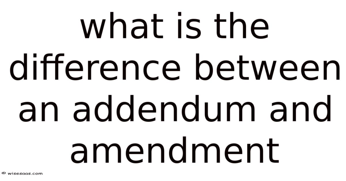 What Is The Difference Between An Addendum And Amendment