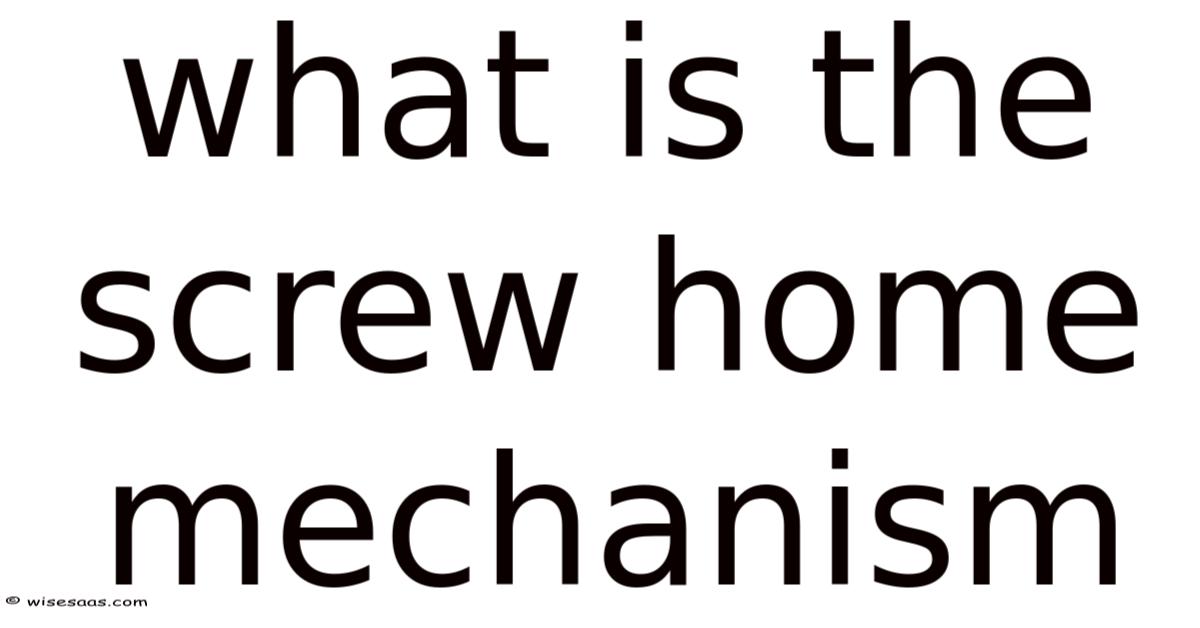 Screw House Example What Is The Screw Home Mechanism