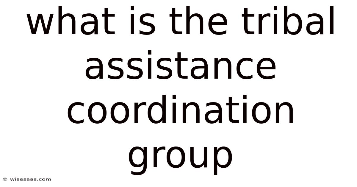 What Is The Tribal Assistance Coordination Group