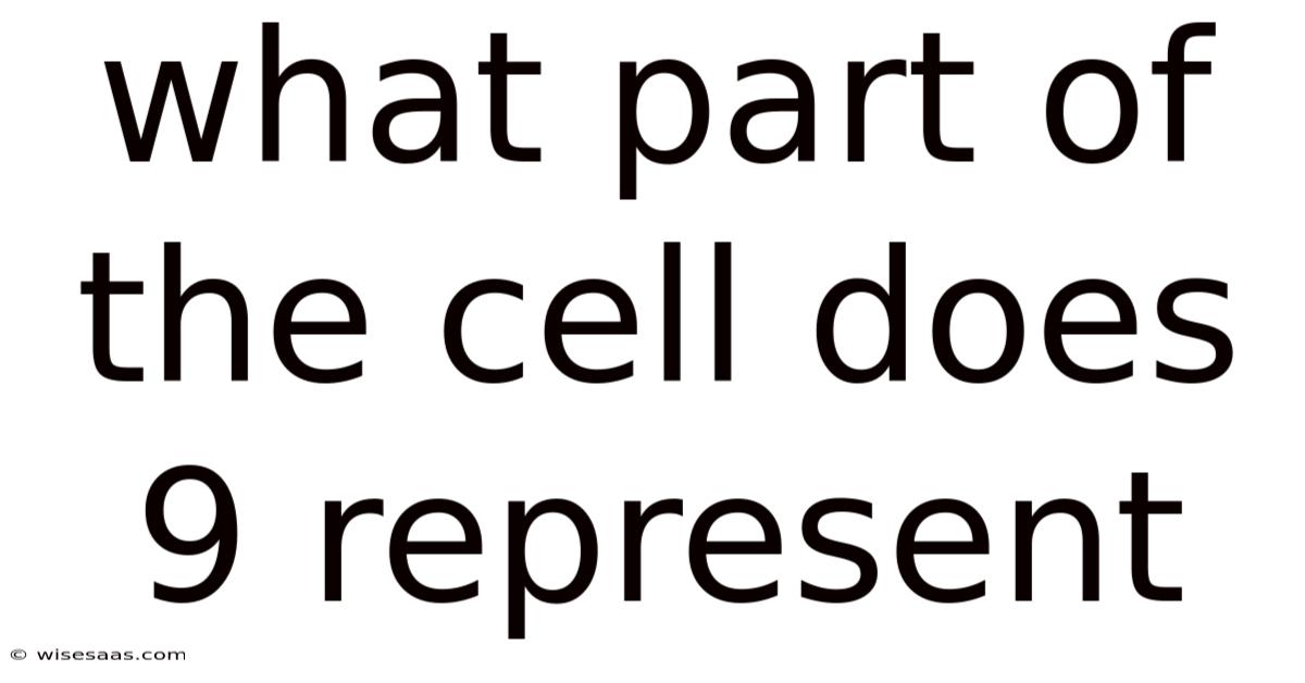What Part Of The Cell Does 9 Represent