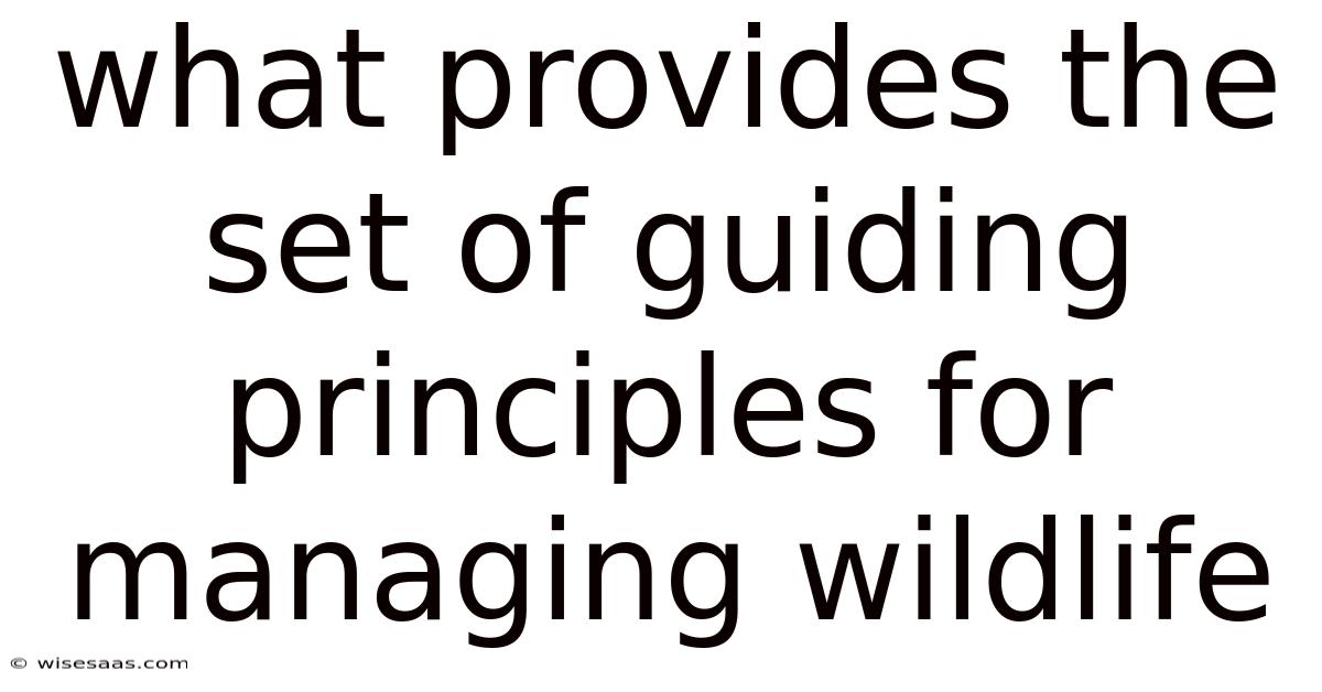 What Provides The Set Of Guiding Principles For Managing Wildlife