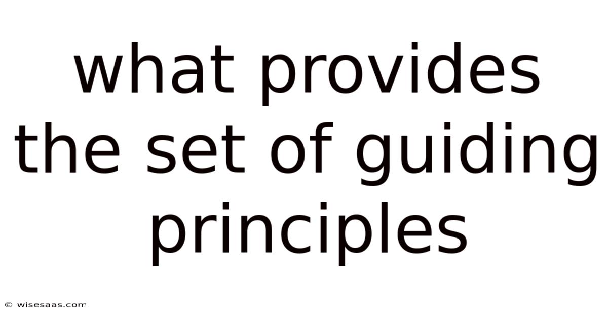 What Provides The Set Of Guiding Principles